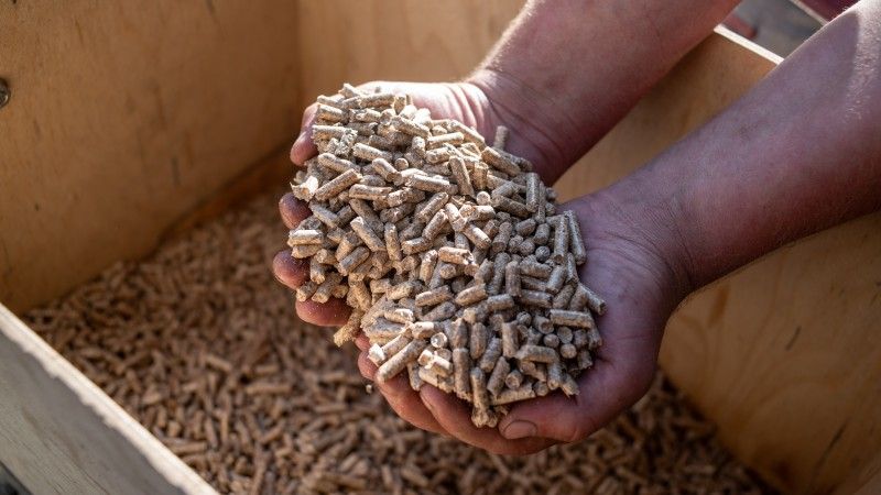 Pellet