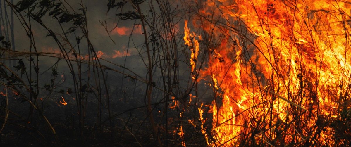Zmiana klimatu i działania człowieka. Pożarów będzie tylko więcej