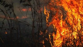 raging-wildfire-consuming-dry-grasses-and-brush-2026-03-20-00-09-21-utc