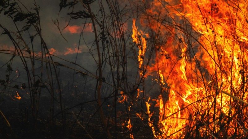raging-wildfire-consuming-dry-grasses-and-brush-2026-03-20-00-09-21-utc