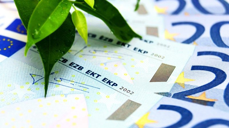 money-and-plant-2026-03-26-04-35-25-utc
