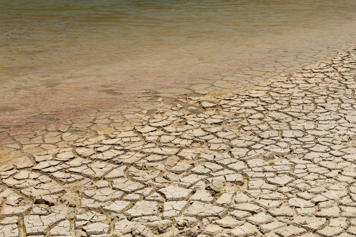 Rekord temperatur oceanów. El Niño i zmiana klimatu
