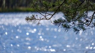 lakeside-beach-details-with-sand-rocks-and-blur-b-2026-03-26-00-07-17-utc