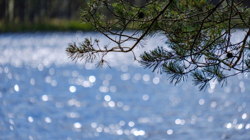 lakeside-beach-details-with-sand-rocks-and-blur-b-2026-03-26-00-07-17-utc