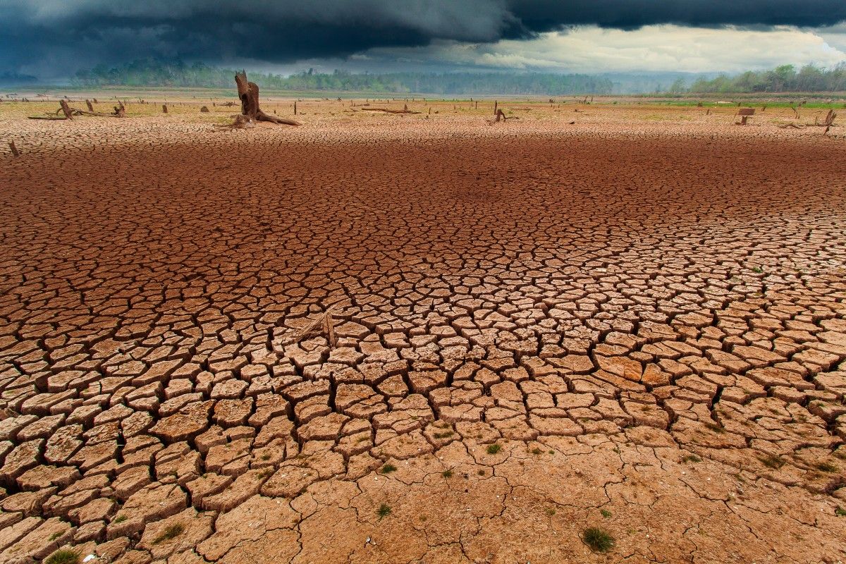 El Niño coraz silniejsze. Czy przejdzie do historii?