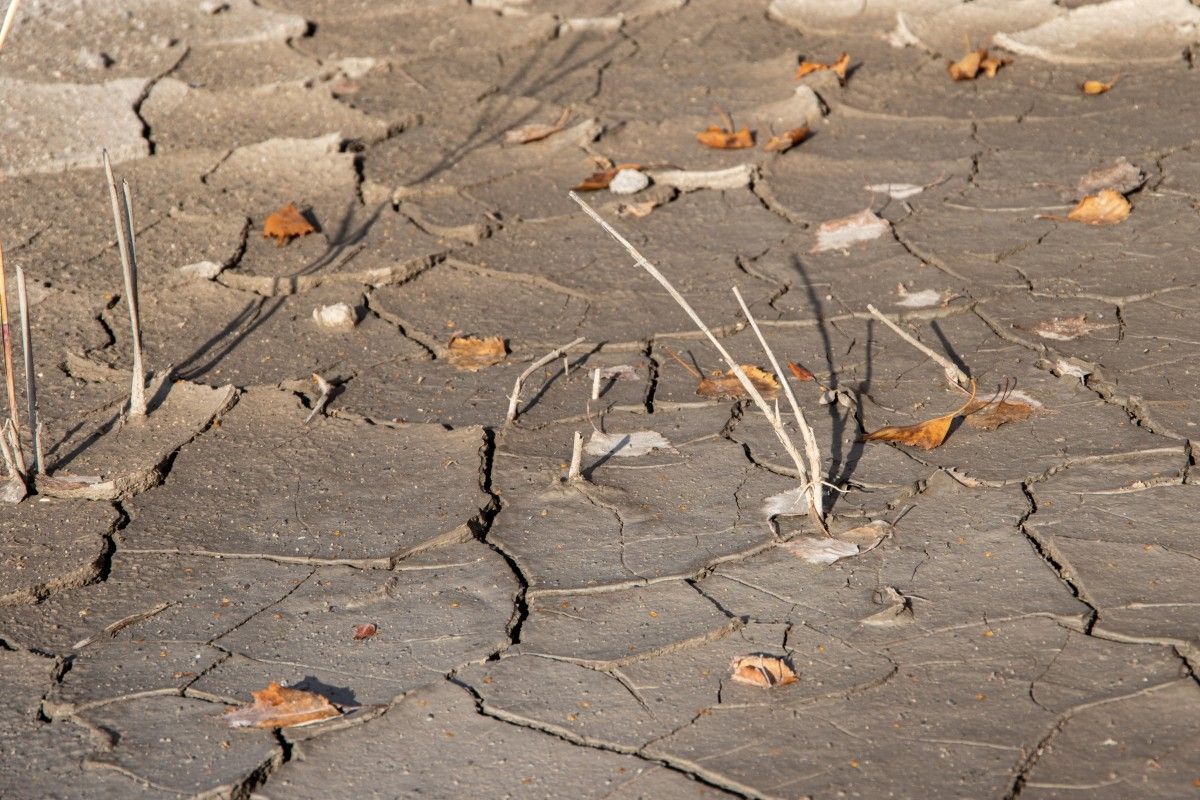 Bezpieczeństwo żywnościowe wobec zmiany klimatu. Znikną niektóre pola uprawne
