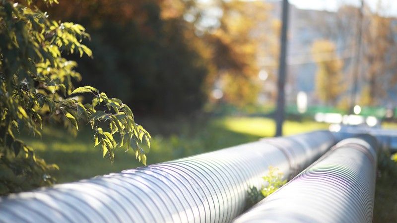 pipes-alongside-greenery-in-the-autumn-sunlight-2026-03-26-04-28-50-utc