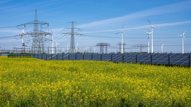 field-of-yellow-flowers-with-wind-turbines-2026-03-19-23-03-16-utc