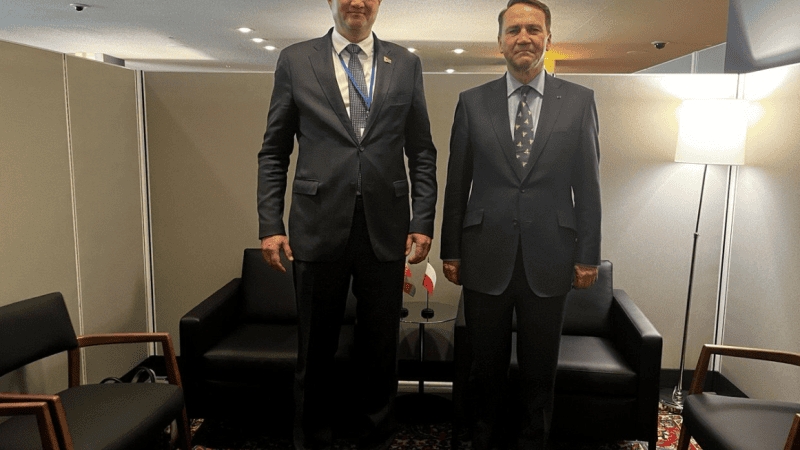 Radosław Sikorski na spotkaniu z białoruskim ministrem spraw zagranicznych Maksimem Ryżankowem.