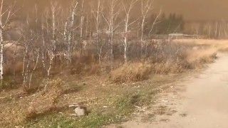 Pożar bazy wojskowej