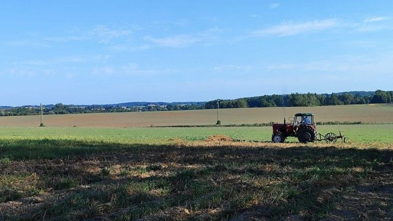 Wykopki w Moderówce